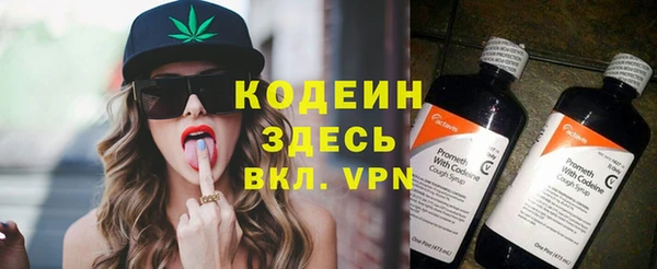 шишки Верея