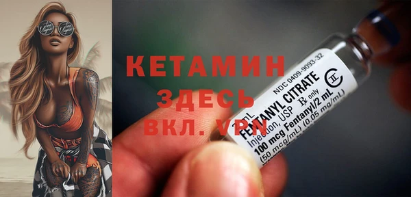 шишки Верея