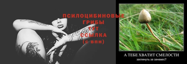 мдпв Вязники