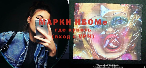 амф Горняк