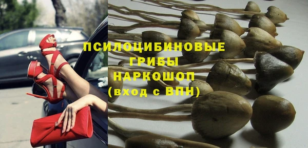 шишки Верея