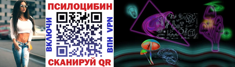 Купить закладки  Певек  Псилоцибиновые грибы прущие грибы 