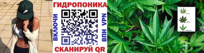 Конопля OG Kush  Купить где  Певек 